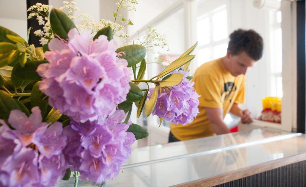 Ronneby Brunnspark Vandrarhem Och B&B Extérieur photo
